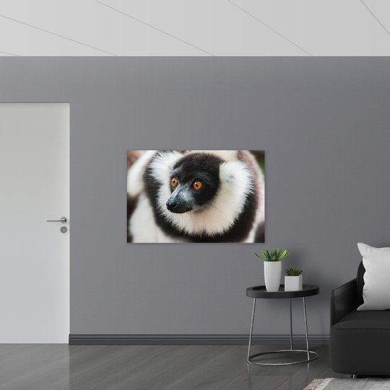 WallClassics - Feuille de Mousse PVC - Singe Vari aux Yeux Bruns de Près - 120x80 cm Photo sur Feuille de Mousse PVC