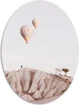 WallClassics - PVC Schuimplaat Ovaal - Luchtballonnen boven Bergen - 42x56 cm Foto op Ovaal (Met Ophangsysteem)