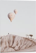 WallClassics - Vlag - Luchtballonnen boven Bergen - 40x60 cm Foto op Polyester Vlag