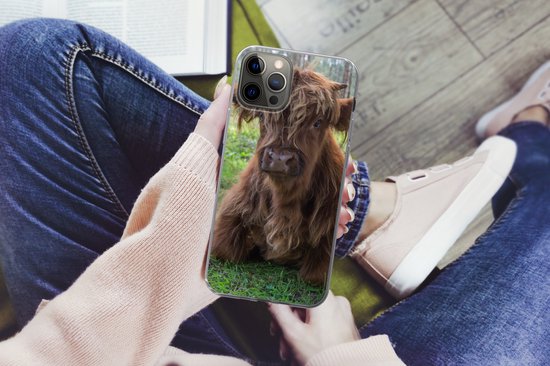 Coque iPhone 13 Pro - Highlander écossais - Crapaud - Animaux - Coque de téléphone en Siliconen