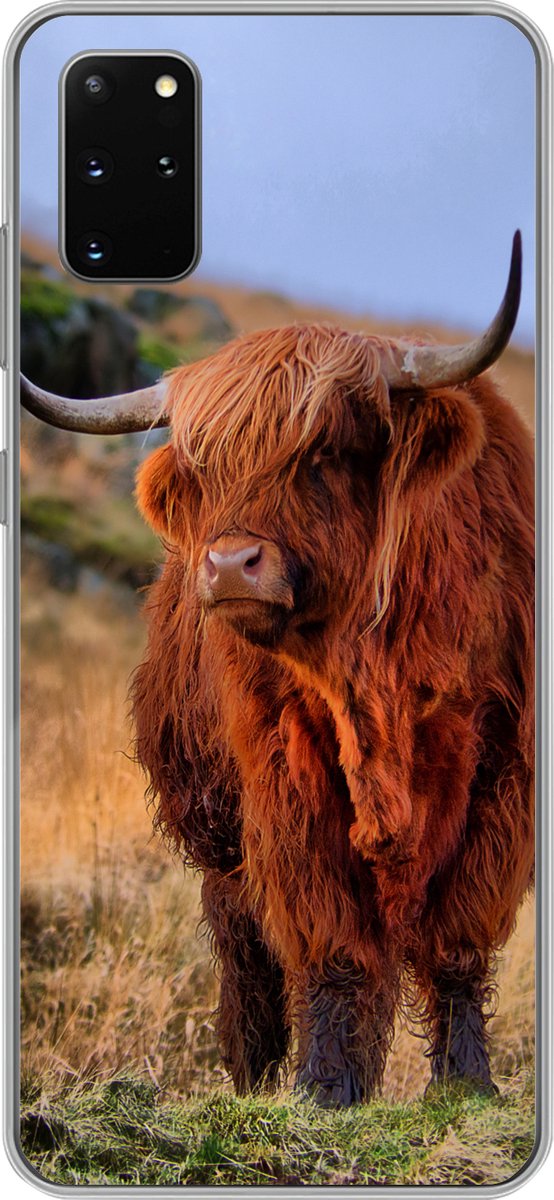 Telefoonhoesje Geschikt voor Samsung Galaxy S20 Plus hoesje - Schotse Hooglander - Gras - Stenen - Siliconen Telefoonhoesje Telefoonhoesje
