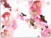 WallClassics - Poster de jardin - Guêpe sur Fleurs roses - 40x30 cm Photo sur poster de jardin (décoration murale pour extérieur et intérieur)