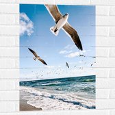 Muursticker - Vliegende Meeuwen boven de Zee - 50x75 cm Foto op Muursticker