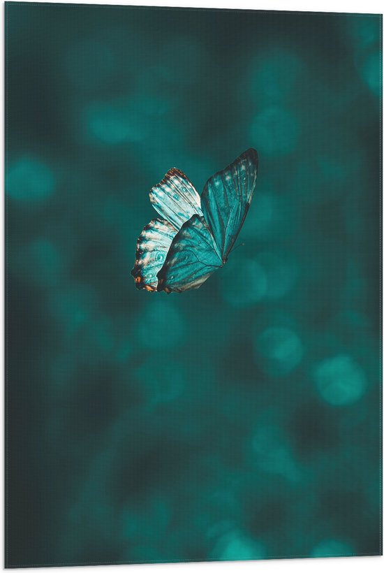 WallClassics - Vlag - Blauwe Vlinder in Blauwkleurige Omgeving - 60x90 cm Foto op Polyester Vlag