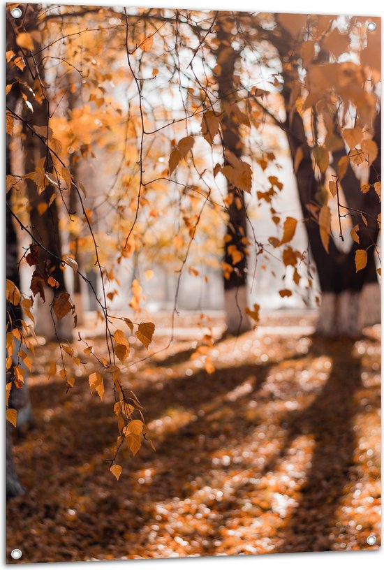 Tuinposter – Herfstbladeren aan Tak Hangend in Bos met Zonnestralen - 80x120 cm Foto op Tuinposter (wanddecoratie voor buiten en binnen)