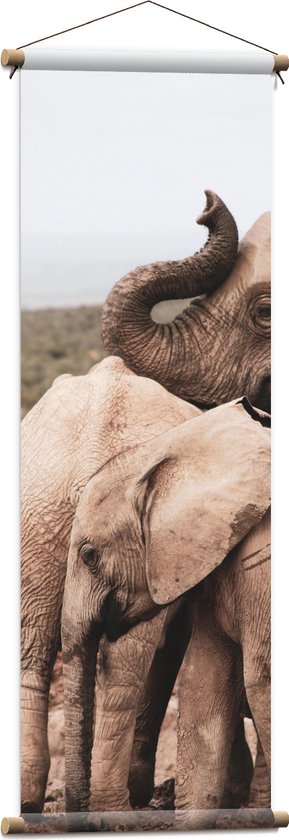 WallClassics - Textielposter - Kudde Olifanten in Modder Landschap - 40x120 cm Foto op Textiel