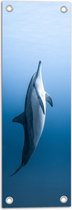 Tuinposter – Verticaal Zwemmende Dolfijn - 20x60 cm Foto op Tuinposter (wanddecoratie voor buiten en binnen)