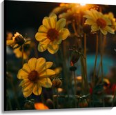 Canvas - Zonsondergang achter Gele Kleine Bloemen - 100x100 cm Foto op Canvas Schilderij (Wanddecoratie op Canvas)