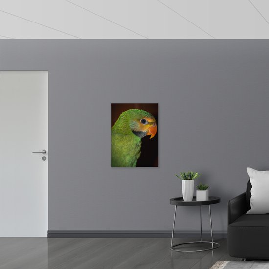 WallClassics - Panneau en mousse PVC - Perruche verte avec bec Oranje - 60x80 cm Photo sur panneau en mousse PVC