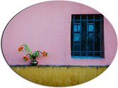 Dibond Ovaal - Vaasje met Bloemen op Muur van Roze Woning - 56x42 cm Foto op Ovaal (Met Ophangsysteem)