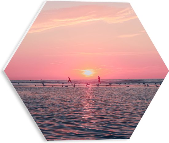 PVC Schuimplaat Hexagon - Roze Zonsondergang aan Zee met Meeuwen - 30x26.1 cm Foto op Hexagon (Met Ophangsysteem)