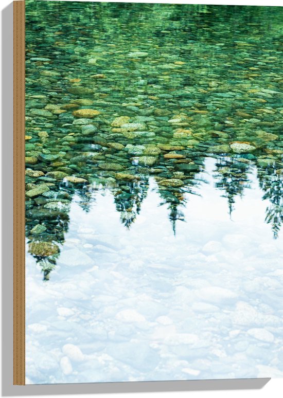 Hout - Stenen in het Water weerspiegelende Bomen - 40x60 cm - 9 mm dik - Foto op Hout (Met Ophangsysteem)