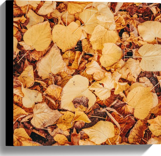 Canvas - Herfstige Bladeren op de Grond - 40x40 cm Foto op Canvas Schilderij (Wanddecoratie op Canvas)