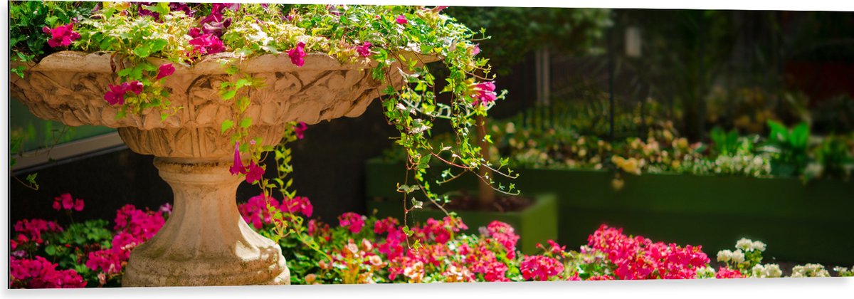 Dibond - Felroze Bloemen uit Fontein - 120x40 cm Foto op Aluminium (Met Ophangsysteem)