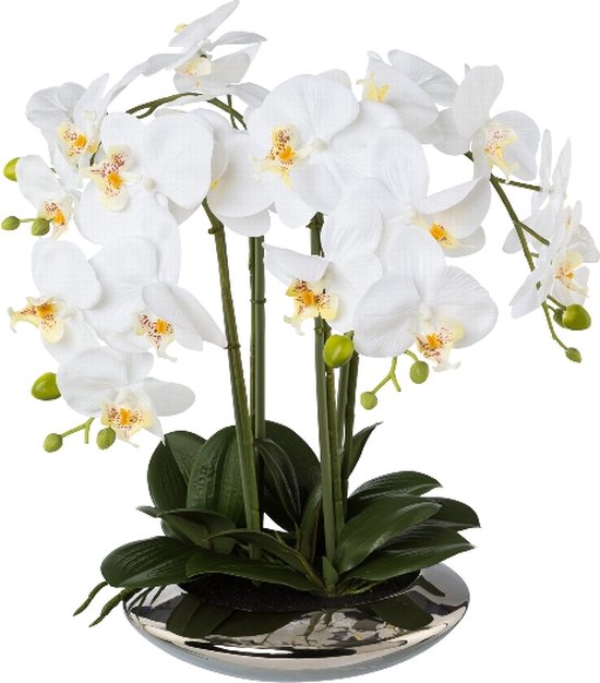 Kopu® Kunstplant Orchidee 4 takken 41cm in Zilveren Schaal - Wit