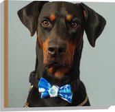 WallClassics - Hout - Hond met Blauwe Strik - 50x50 cm - 9 mm dik - Foto op Hout (Met Ophangsysteem)