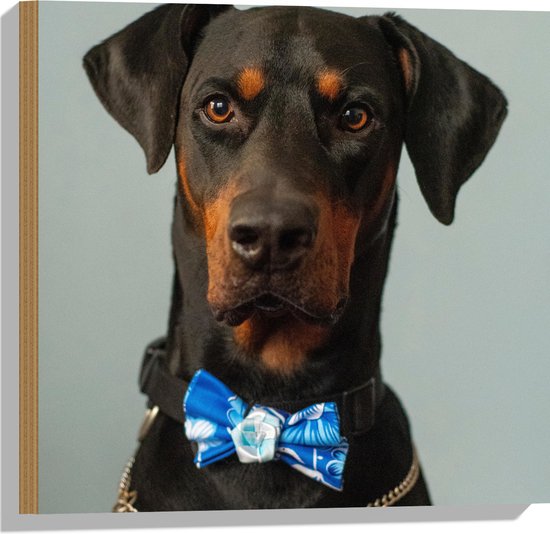 WallClassics - Hout - Hond met Blauwe Strik - 50x50 cm - 9 mm dik - Foto op Hout (Met Ophangsysteem)