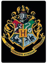 Harry Potter - Zweinstein School - Metalen Magneet - Zwart