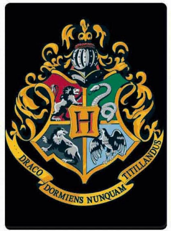 harry-potter-zweinstein-school-metalen-magneet-zwart-bol