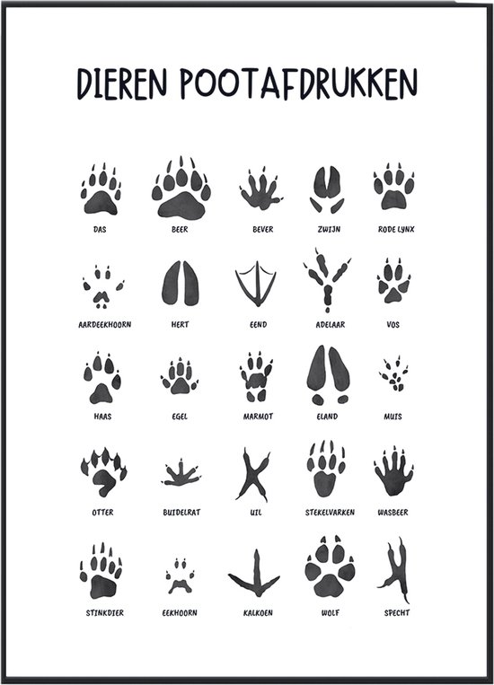 Affiche Empreintes d' Animaux No Filter - 30x40 cm (format A3) - Empreintes de pattes - Traces d'animaux - Éducatif la pépinière