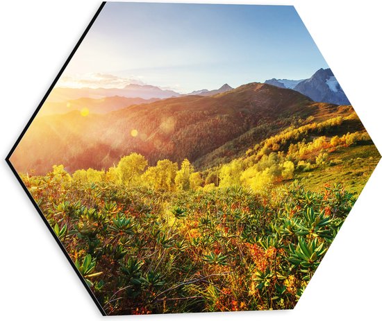 Dibond Hexagon - Fel Zonlicht over Bergen met Bloemen, Sneeuw en Planten - 30x26.1 cm Foto op Hexagon (Met Ophangsysteem)