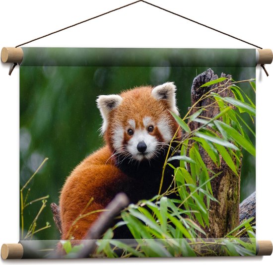 Textielposter - Aandoenlijke Rode Panda op Boomstam met Groene Planten - 40x30 cm Foto op Textiel