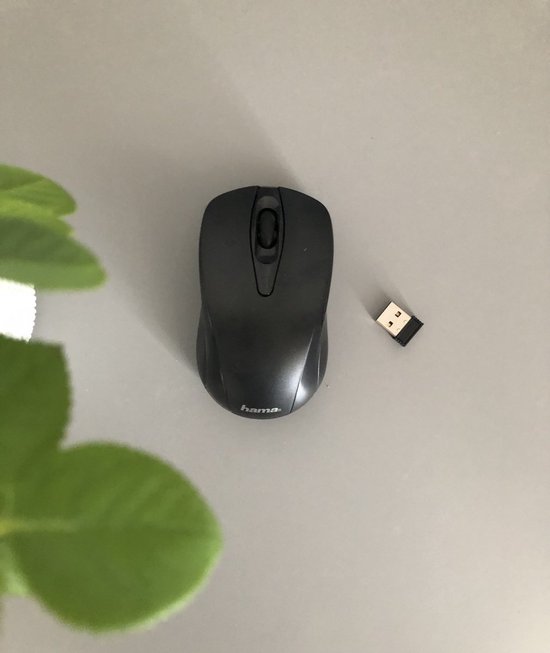 Mini souris - sans fil - pour ordinateurs portables et ordinateurs - Souris  sans fil 