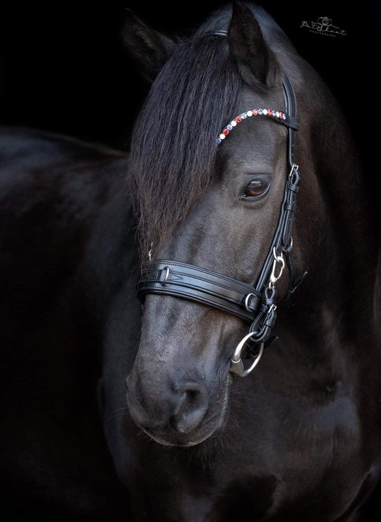 On Horses Frontal Rouge/ White Blue Full - V Frontal rouge blanc bleu Full