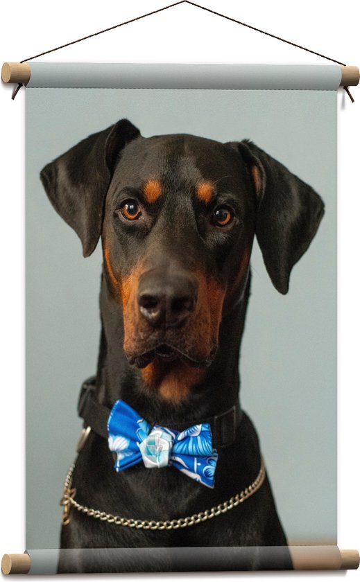 WallClassics - Textielposter - Hond met Blauwe Strik - 40x60 cm Foto op Textiel
