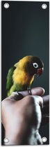 WallClassics - Tuinposter – Vogel op Hand - Zwartmaskeragapornis - 20x60 cm Foto op Tuinposter (wanddecoratie voor buiten en binnen)