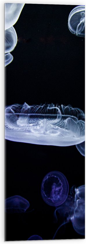 WallClassics - Acrylglas - Wit met Blauwe Kwallen in Donkere Zee - 30x90 cm Foto op Acrylglas (Wanddecoratie op Acrylaat)