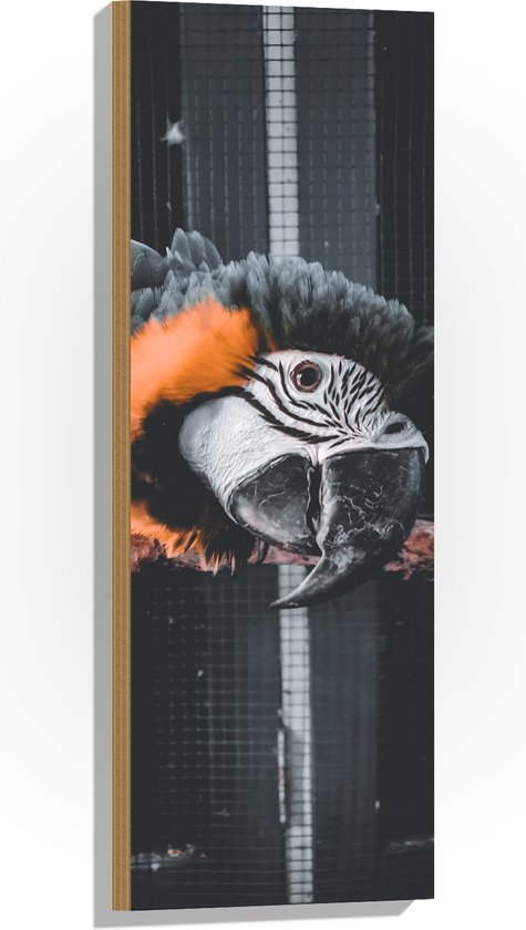 WallClassics - Hout - Zwart met Oranje Papegaai op een Tak in een Kooi - 30x90 cm - 9 mm dik - Foto op Hout (Met Ophangsysteem)