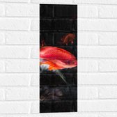 WallClassics - Muursticker - Rode Vis Zwemmend in Vijver - 20x60 cm Foto op Muursticker