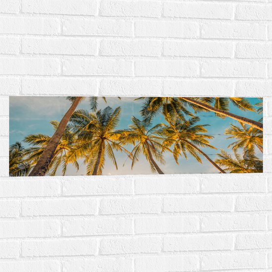Muursticker - Onderaanzicht van Hoge Palmbomen in het Zonlicht - 90x30 cm Foto op Muursticker