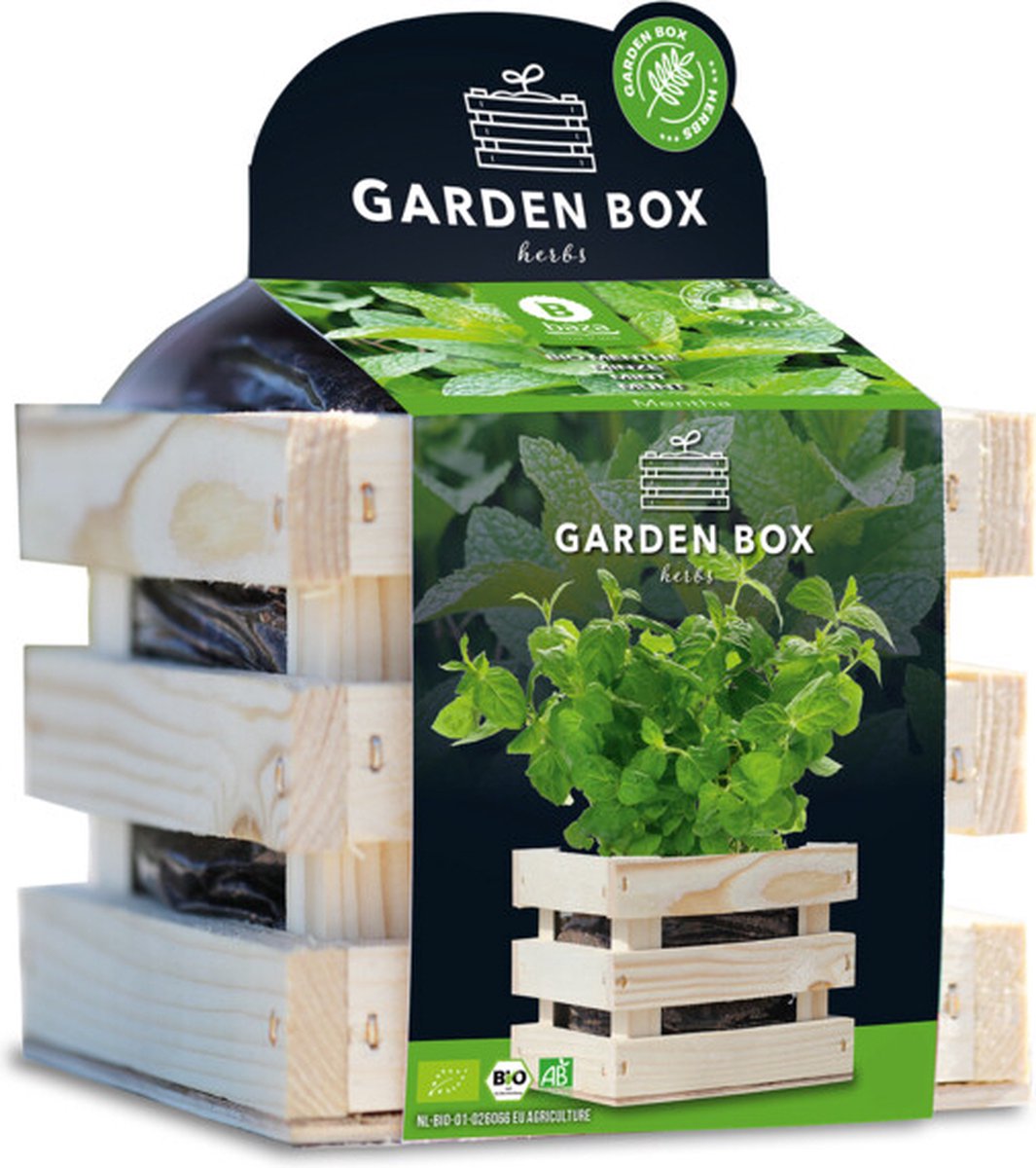 Baza Garden Box Bio Munt