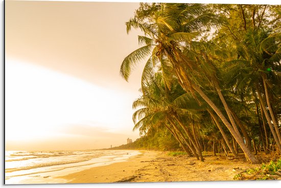 Dibond - Kokosnoot Palmbomen aan het Strand tijdens Felle Zonsopkomst - 75x50 cm Foto op Aluminium (Met Ophangsysteem)