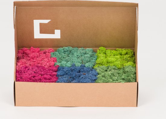 MosBiz Rendiermos Rainbow 500 gram voor decoraties en mosschilderijen
