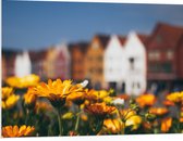 PVC Schuimplaat - Geel Bloemenveld voor Rij Amsterdamse Grachtenpanden - 100x75 cm Foto op PVC Schuimplaat (Met Ophangsysteem)