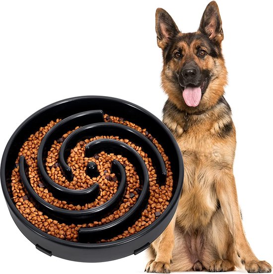 Gamelle pour chien gamelle de luxe pour chien