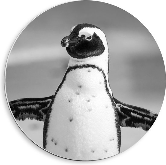 WallClassics - PVC Schuimplaat Muurcirkel - Pingiun met Gespreide Armen (Zwart, wit) - 40x40 cm Foto op Muurcirkel (met ophangsysteem)