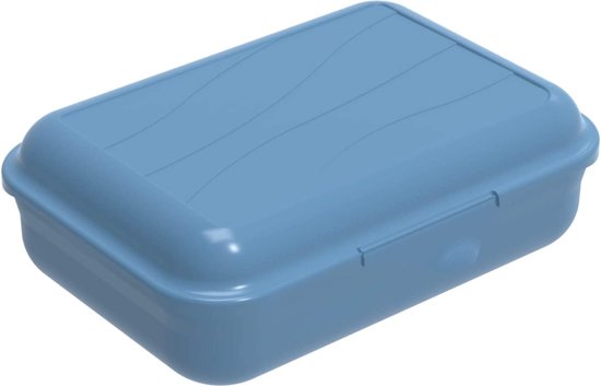 Rotho Fresh Taarthouder met deksel en handgreep, voedselveilige kunststof ( PP), BPA-vrij, turquoise/transparant, (36,0 x 16,5 x 16,5 cm