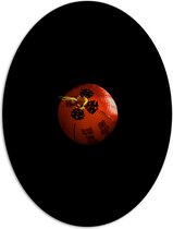 Dibond Ovaal - Klassieke Oranje Lampion - 42x56 cm Foto op Ovaal (Met Ophangsysteem)
