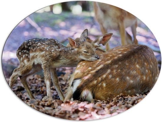 Dibond Ovaal - Babyhert slapend tegen Moeder - 108x81 cm Foto op Ovaal (Met Ophangsysteem)