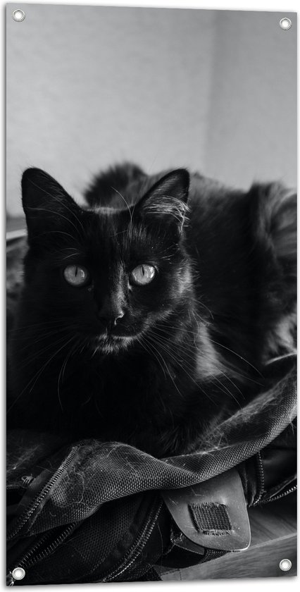 Tuinposter – Donkere Kat (zwart/wit) - 50x100 cm Foto op Tuinposter (wanddecoratie voor buiten en binnen)