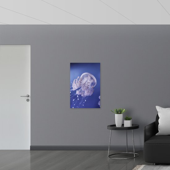 WallClassics - Panneau de mousse PVC - Méduses dans Water violette - Photo 60x90 cm sur panneau de mousse PVC