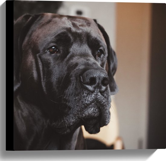 WallClassics - Canvas - Hoofd van Zwarte Hond - 40x40 cm Foto op Canvas Schilderij (Wanddecoratie op Canvas)