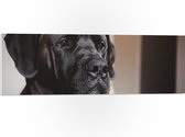 WallClassics - PVC Schuimplaat - Hoofd van Zwarte Hond - 90x30 cm Foto op PVC Schuimplaat (Met Ophangsysteem)