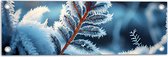 Tuinposter – IJslaag op Bruine Tak met Bladeren - 60x20 cm Foto op Tuinposter (wanddecoratie voor buiten en binnen)