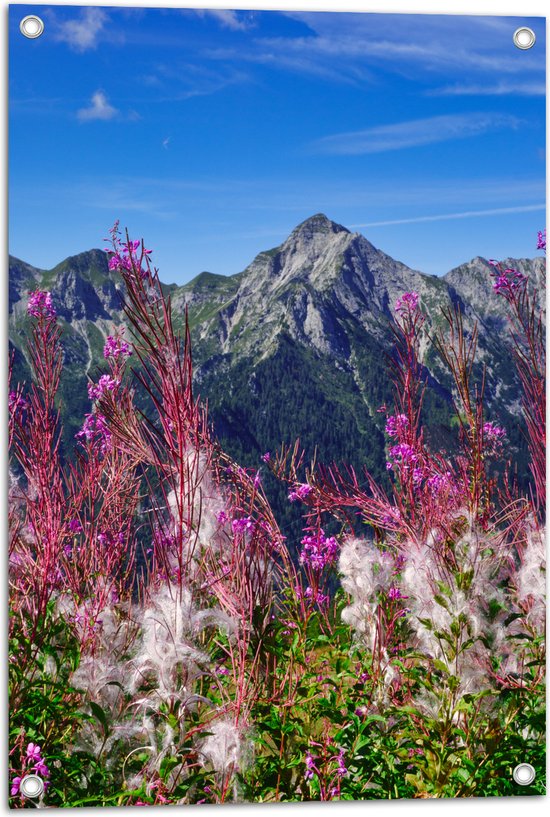 Tuinposter – Prachtige Bloemen aan de Rand van Cliff in Berggebied - 50x75 cm Foto op Tuinposter (wanddecoratie voor buiten en binnen)