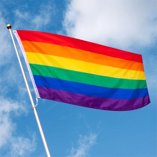 Regenboog Pride Vlag Met Metalen Ringetjes Cm X Cm Polyester